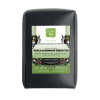 Peach Lemonade Green Tea