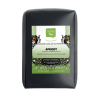 Apricot Black Tea