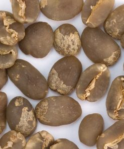 Unroasted Sumatra Mandheling