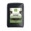 Raspberry Black Tea