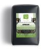 Apricot Green Tea