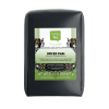 Spiced Chai Black Tea