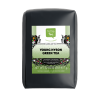 Young Hyson Green Tea