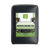 Sechung Oolong Tea