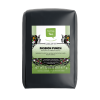Passion Punch Black Tea