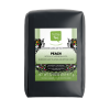 Peach Black Tea