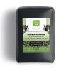 Winter Warmer Black Tea
