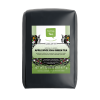Apple Spice Chai Green Tea