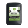 Tropical Punch Green Tea